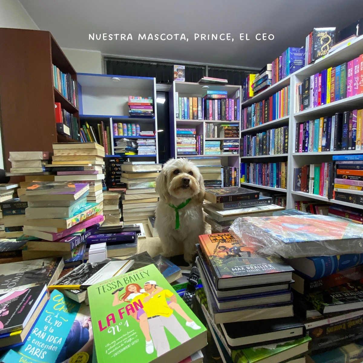 Prince, nuestra mascota y CEO, entre libros